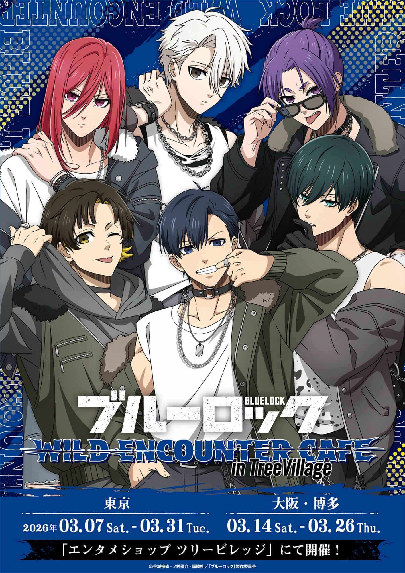 블루 록 와일드 카페 in 트리 빌리지 3월 7일 시작! detail 5