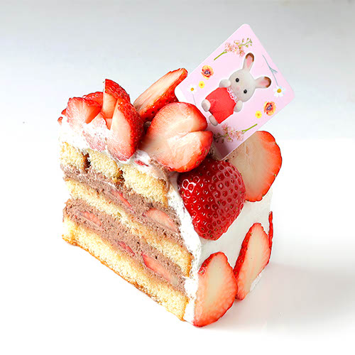 シルバニアファミリー × 東武百貨店 池袋店 2月26日より初コラボ開催! detail 7