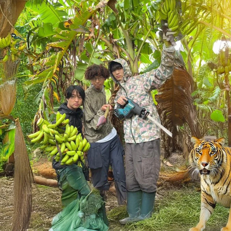 CHO CO PA CO CHO CO QUIN QUIN