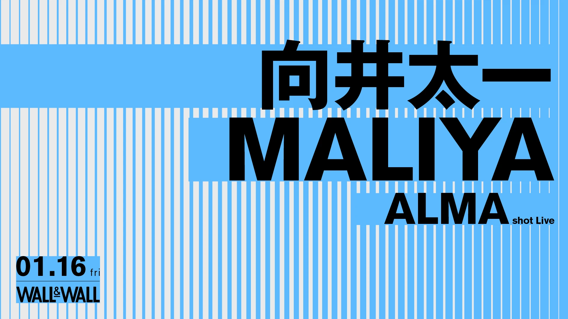 向井太一 / MALIYA