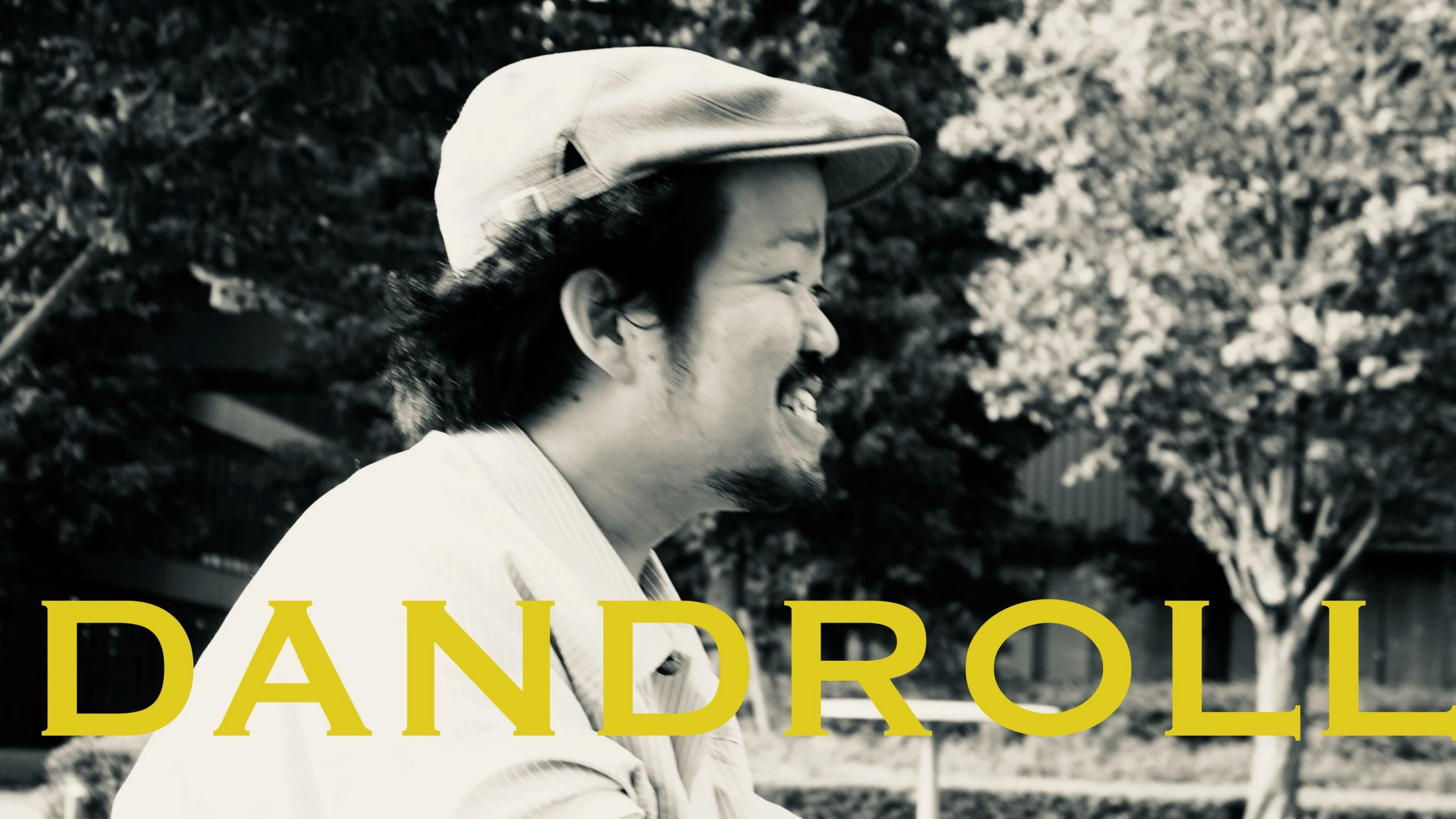 SOCIAL WORKEEERZ DANDROLL