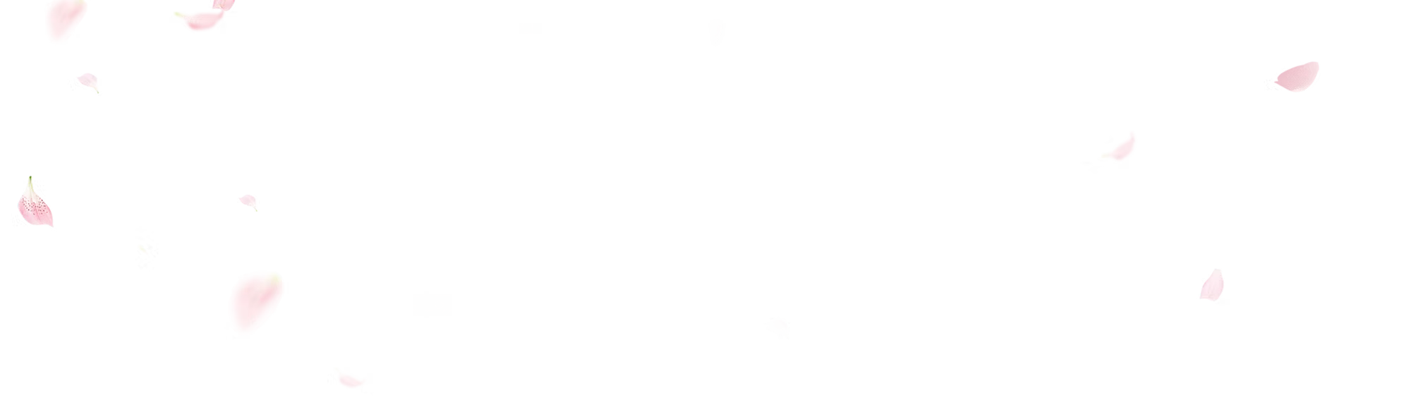 『4월은 너의 거짓말』 원화와 함께 연주하는 콘서트 detail 3