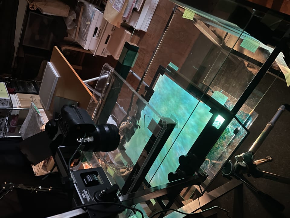 映画「花緑青が明ける日に」＋日本画家・四宮義俊の作品展 detail 6